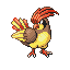 Pidgeotto