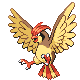 Pidgeotto