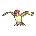 Pidgeotto