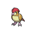 Pidgeotto