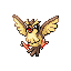 Pidgey