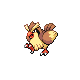 Pidgey
