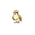 Pidgey