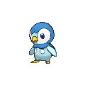 Piplup