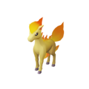 Ponyta