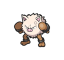 Primeape