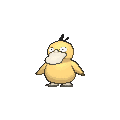 Psyduck