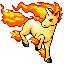 Rapidash
