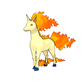 Rapidash