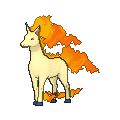 Rapidash