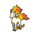 Rapidash