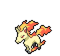 Rapidash