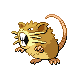 Raticate