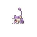 Rattata