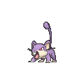Rattata