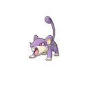 Rattata