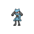 Riolu