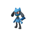Riolu