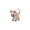 Rockruff