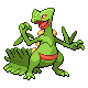 sceptile