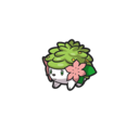 Shaymin