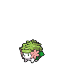 Shaymin
