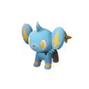 Shinx