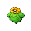 skiploom