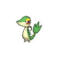 Snivy