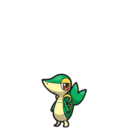 Snivy