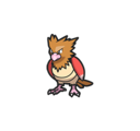 Spearow