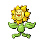 Sunflora