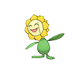 Sunflora