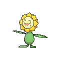 Sunflora