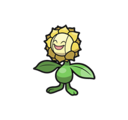 Sunflora