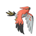 Talonflame