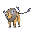 Tauros