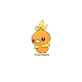 Torchic