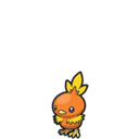 Torchic