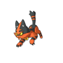 Torracat