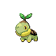 Turtwig