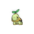 Turtwig