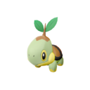 Turtwig