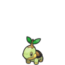 Turtwig