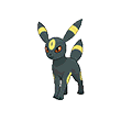 Umbreon