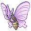 Venomoth