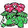 Venusaur