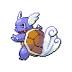 Wartortle