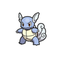 Wartortle