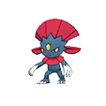 Weavile